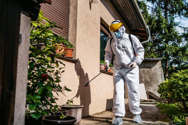 Best Termite Control Services  in Roberta, GA