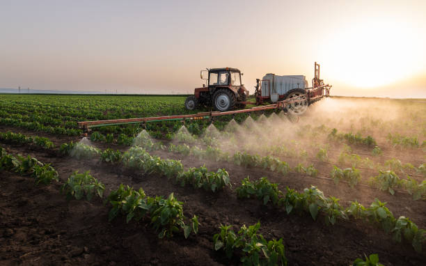 Best Best Pest Control Companies  in Roberta, GA