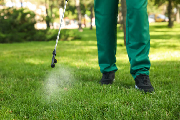 Wasp Removal Services in Roberta, GA