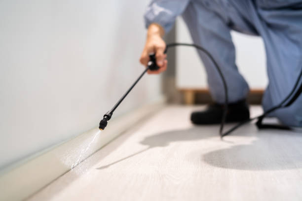 Professional Pest Control in Roberta, GA