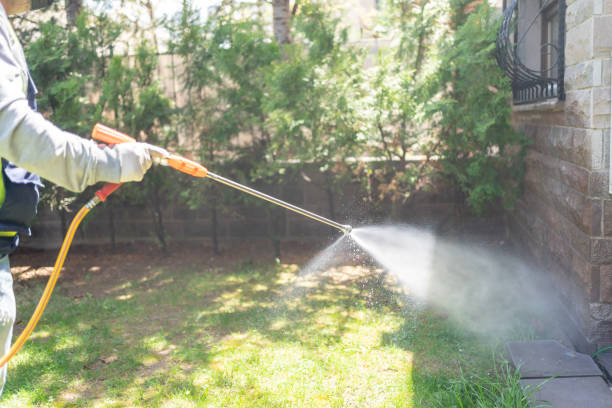Best Mosquito Control Services  in Roberta, GA