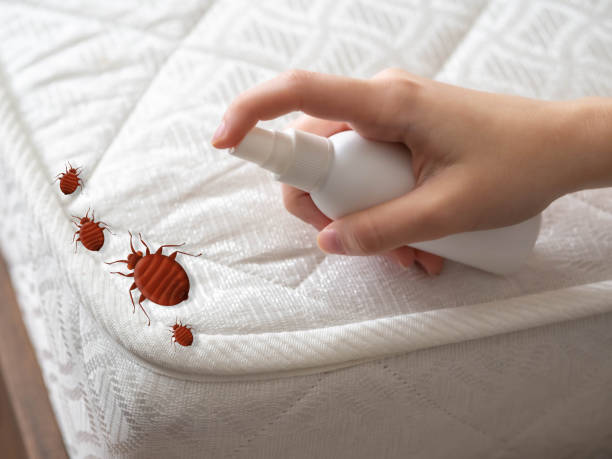 Best Pest Inspection Near Me  in Roberta, GA