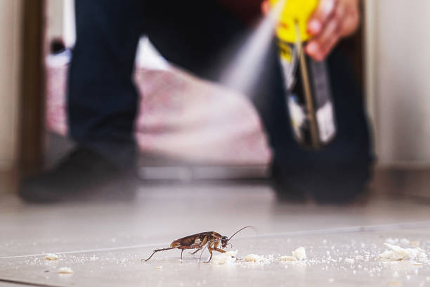 Best Wildlife Control Services  in Roberta, GA