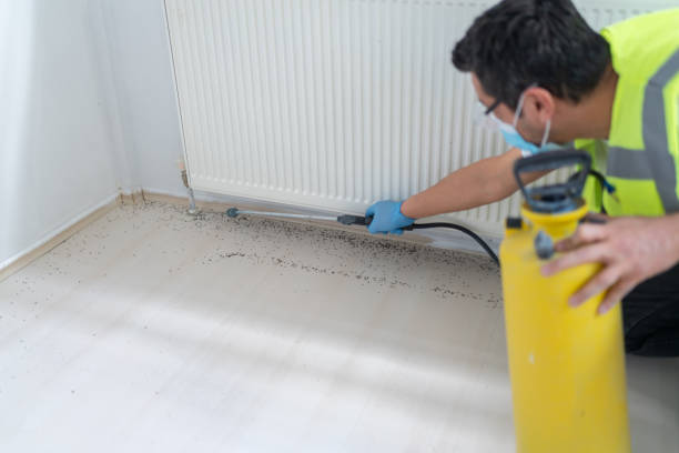Best Pest Control Cost  in Roberta, GA