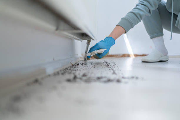 Best Pest Control for Restaurants  in Roberta, GA